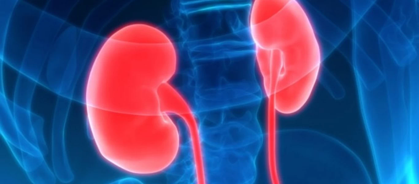 Καρκίνος στα νεφρά: Δέκα συμπτώματα που σας προειδοποιούν - Μην τα αγνοείτε!